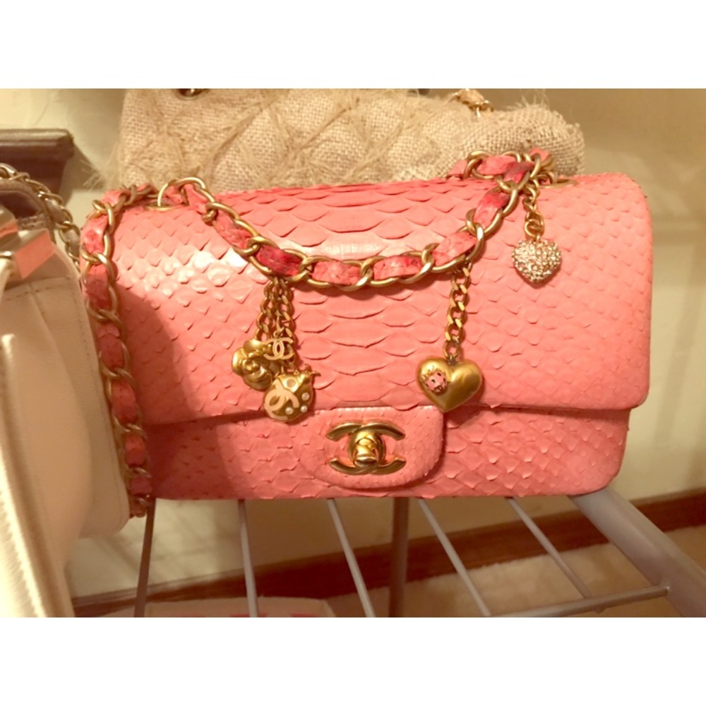 Chanel python mini